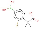 1-(4-BORONO-2-<span class='lighter'>FLUOROPHENYL</span>)CYCLOPROPANE-1-CARBOXYLIC ACID