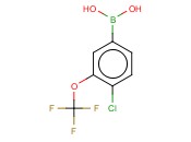 [4-<span class='lighter'>氯</span>-3-(<span class='lighter'>三</span><span class='lighter'>氟</span><span class='lighter'>甲</span><span class='lighter'>氧基</span>)苯基]硼酸