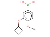 3-CYCLOBUTOXY-4-<span class='lighter'>METHOXYPHENYLBORONIC</span> ACID
