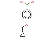 4-<span class='lighter'>环</span>丙甲氧基苯硼酸
