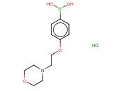 3-氰<span class='lighter'>基</span><span class='lighter'>苯</span><span class='lighter'>硼酸</span>