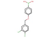 4-(34-二氯苯基甲氧基)<span class='lighter'>苯</span><span class='lighter'>硼酸</span>