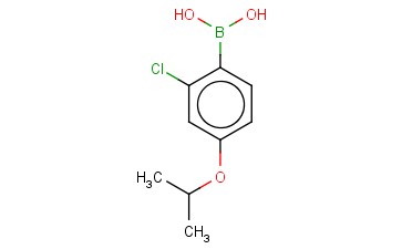 2-<span class='lighter'>氯</span>-4-<span class='lighter'>异</span><span class='lighter'>丙基</span><span class='lighter'>苯</span><span class='lighter'>硼酸</span>