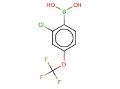 2-<span class='lighter'>氯</span>-4-<span class='lighter'>三</span><span class='lighter'>氟</span><span class='lighter'>甲</span><span class='lighter'>氧基</span><span class='lighter'>苯</span>硼酸