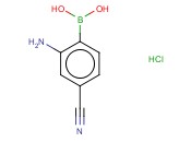 2-氨基-4-<span class='lighter'>氰</span><span class='lighter'>基</span>苯基硼<span class='lighter'>酸盐酸盐</span>