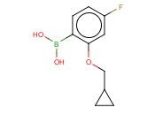 2-(CYCLOPROPYLMETHOXY)-4-<span class='lighter'>FLUOROPHENYLBORONIC</span> ACID