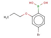 4-BROMO-2-<span class='lighter'>PROPOXYPHENYLBORONIC</span> ACID