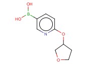 2-(<span class='lighter'>TETRAHYDROFURAN</span>-3-YLOXY)PYRIDINE-5-BORONIC ACID