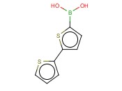 <span class='lighter'>2,2</span>'-<span class='lighter'>BITHIOPHENE-5-BORONIC</span> ACID