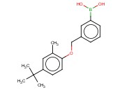 3-[(4'-tert-Butyl-2'-methylphenoxy)methyl]phenylboronic acid