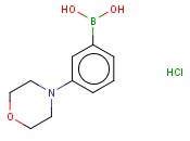 3-<span class='lighter'>吗</span>啉苯硼酸<span class='lighter'>盐酸</span>盐