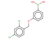 3-(24-二氯苯基甲氧基)<span class='lighter'>苯</span><span class='lighter'>硼酸</span>