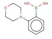 2-吗啉<span class='lighter'>苯</span><span class='lighter'>硼酸</span>