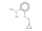 2-(CYCLOPROPYLMETHOXY)PHENYLBORONIC ACID