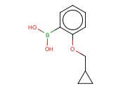 2-(环丙基甲氧基)苯硼酸