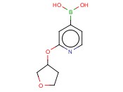 2-(<span class='lighter'>TETRAHYDROFURAN</span>-3-YLOXY)PYRIDINE-4-BORONIC ACID