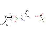 BORTEZOMIB <span class='lighter'>INTERMEDIATE</span>