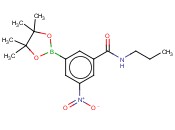 3-NITRO-N-PROPYL-5-(4,4,5,5-TETRAMETHYL-1,3,2-DIOXABOROLAN-2-YL)BENZAMIDE