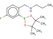 2-(丙基氨基甲基)-5-氟<span class='lighter'>苯</span><span class='lighter'>硼酸</span><span class='lighter'>频</span>那<span class='lighter'>醇</span><span class='lighter'>酯</span>