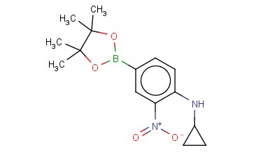 4-环丙基氨基-3-<span class='lighter'>硝基苯</span><span class='lighter'>硼酸</span><span class='lighter'>频</span>那<span class='lighter'>醇</span><span class='lighter'>酯</span>