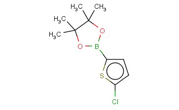 5-<span class='lighter'>氯</span><span class='lighter'>噻吩</span>-2-<span class='lighter'>硼酸</span><span class='lighter'>频</span><span class='lighter'>哪</span><span class='lighter'>醇</span><span class='lighter'>酯</span>