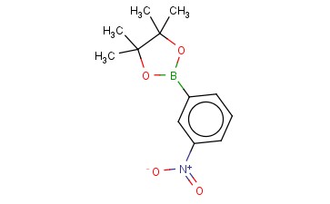 3-<span class='lighter'>硝基苯</span><span class='lighter'>硼酸</span><span class='lighter'>频</span><span class='lighter'>哪</span><span class='lighter'>醇</span><span class='lighter'>酯</span>