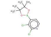 2,3-二氯吡啶-4-<span class='lighter'>硼酸</span><span class='lighter'>频</span><span class='lighter'>哪</span><span class='lighter'>醇</span><span class='lighter'>酯</span>