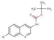 TERT-BUTYL 7-<span class='lighter'>BROMOQUINOLIN</span>-3-YLCARBAMATE