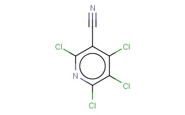 2,4,5,6-TETRACHLORONICOTINONITRILE