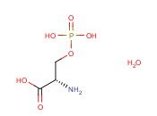 <span class='lighter'>L-O-</span><span class='lighter'>磷酸丝氨酸</span>