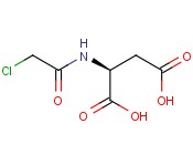 2-[(2-CHLOROACETYL)AMINO]<span class='lighter'>SUCCINIC</span> ACID
