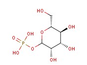5-(丁基氨基)-2-[2-(二乙胺基)乙基]-1H-异<span class='lighter'>吲哚</span>-1,3(2H)-二<span class='lighter'>酮</span>盐酸
