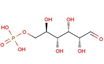 D-Glucose <span class='lighter'>6-phosphate</span> solution