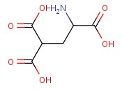 γ-羧基-DL-<span class='lighter'>谷氨酸</span>