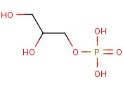 <span class='lighter'>GLYCEROPHOSPHORIC</span> ACID
