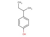 4-<span class='lighter'>异</span>丁基<span class='lighter'>苯酚</span>