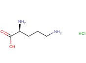 L-鸟<span class='lighter'>氨酸</span>单<span class='lighter'>盐酸盐</span>