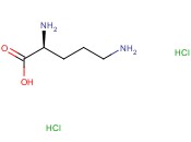 L-鸟氨酸<span class='lighter'>二</span><span class='lighter'>盐酸盐</span>