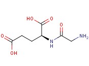 甘氨酰-<span class='lighter'>L-</span><span class='lighter'>谷氨酸</span>
