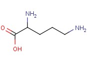鸟<span class='lighter'>氨酸</span>