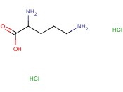 <span class='lighter'>L-</span>鸟<span class='lighter'>氨酸</span>二<span class='lighter'>盐酸盐</span>