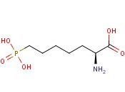 L-(+)-2-<span class='lighter'>氨基</span>-7-膦<span class='lighter'>酸</span>基庚酸