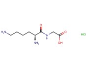 赖<span class='lighter'>氨酸</span>-<span class='lighter'>甘氨酸</span>二肽