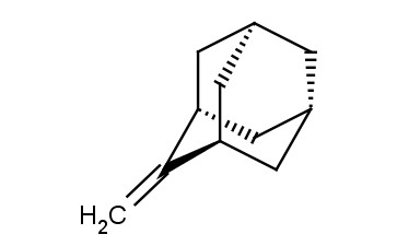 2-亚甲基<span class='lighter'>金刚烷</span>