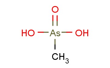 <span class='lighter'>MAA</span>