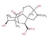 Gibberellic acid 90%