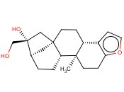 咖啡<span class='lighter'>醇</span>