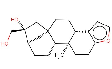 咖啡<span class='lighter'>醇</span>