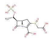 <span class='lighter'>PLURACIDOMYCIN</span> C1