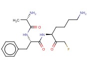 2-<span class='lighter'>甲</span><span class='lighter'>氧基</span>萘-1-基甲基<span class='lighter'>胺</span>